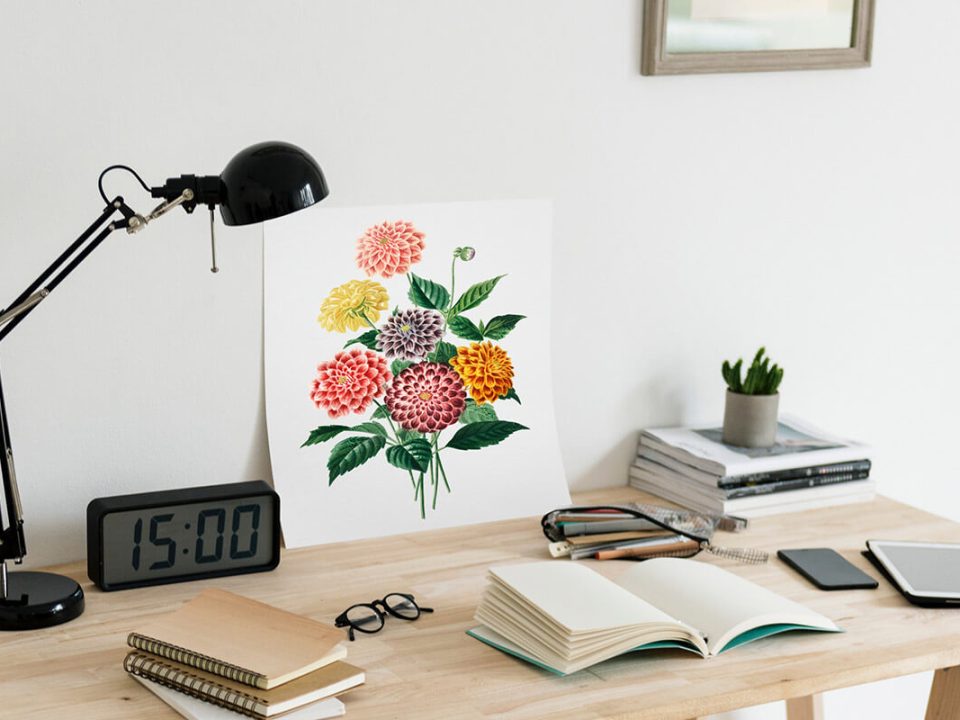 İkinci El Eşya Alanlar